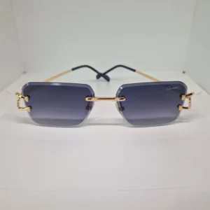 LUNETTES CARTIER 2